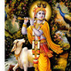 5 Krishna capítulo 2 - b