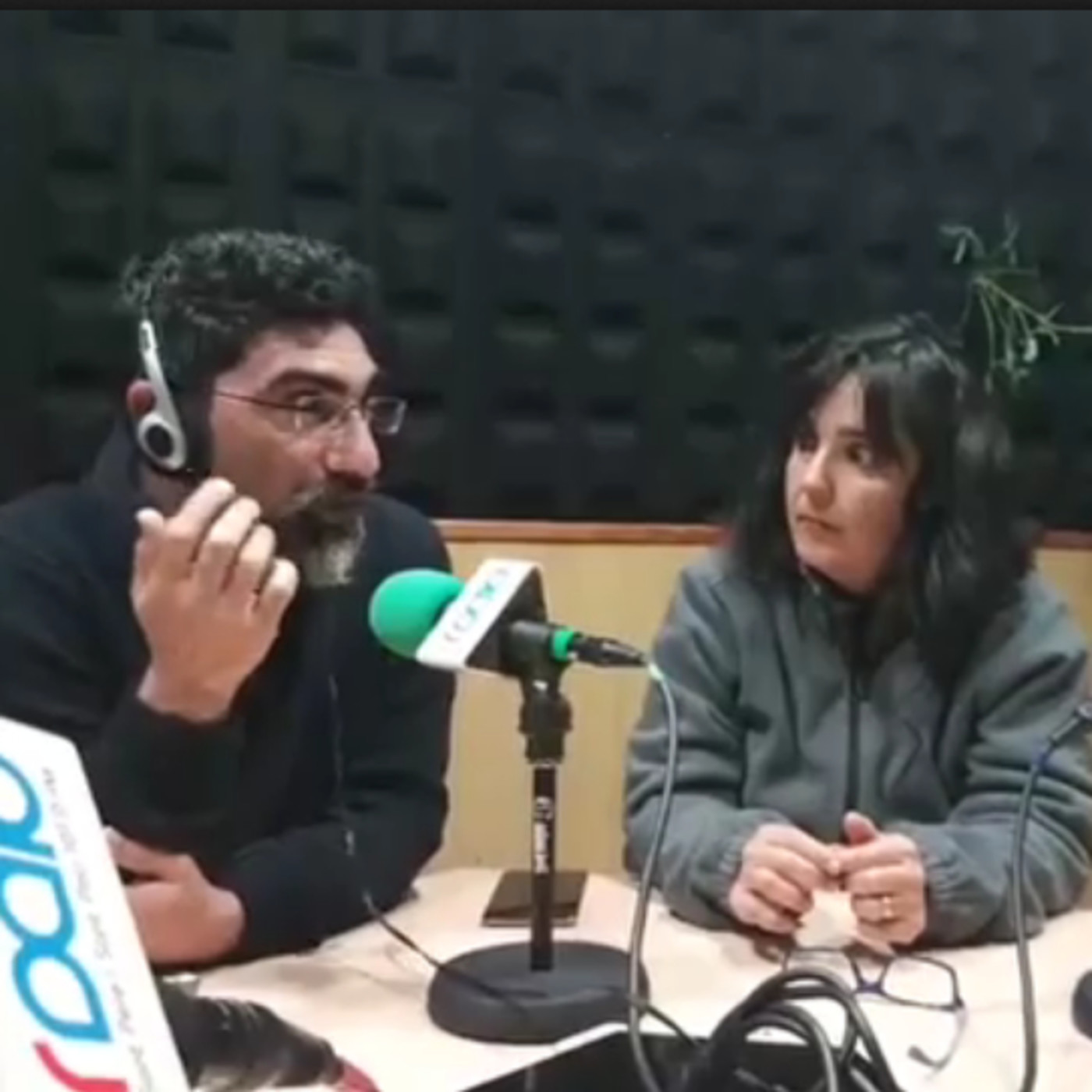 Associacions Veïnals