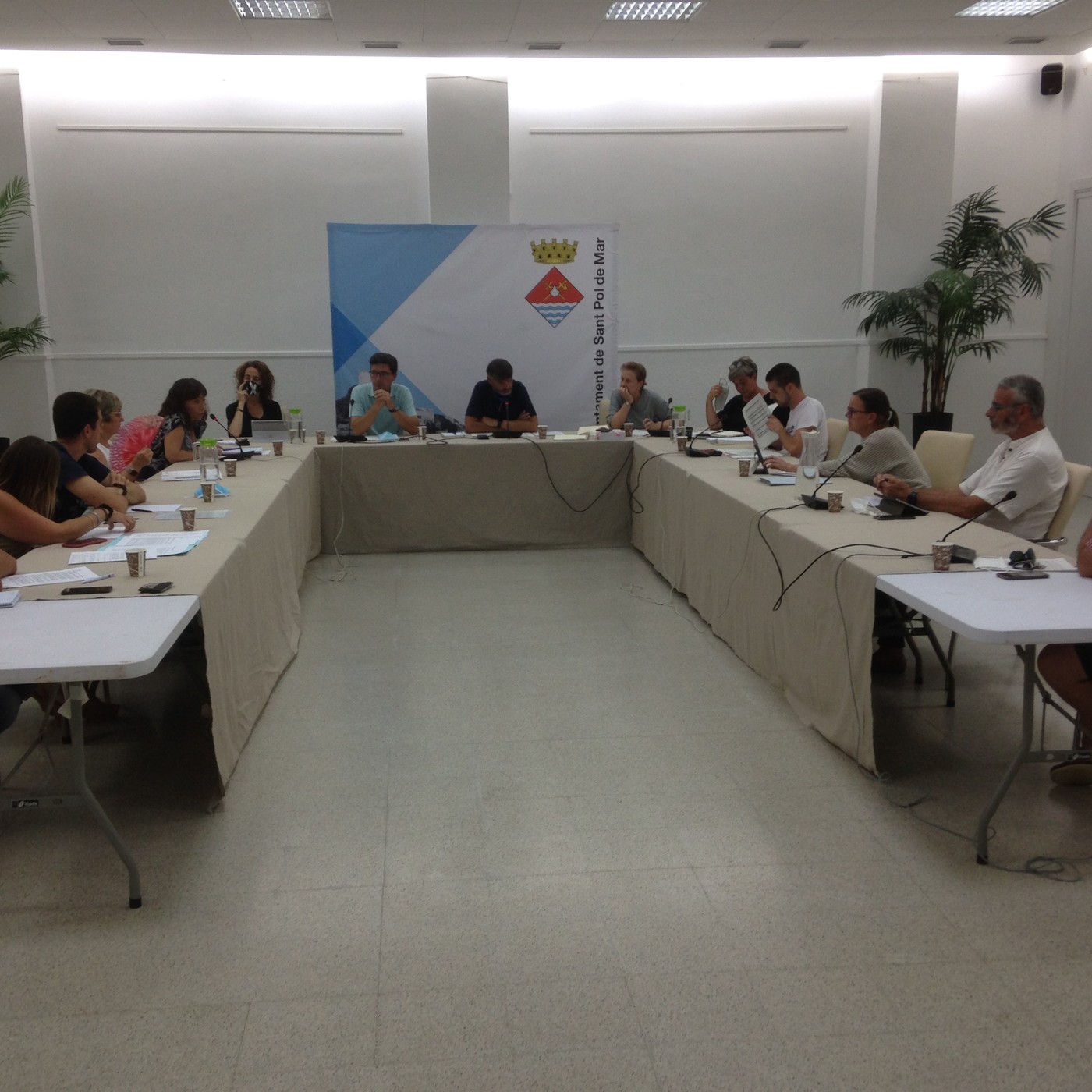 Plens municipals