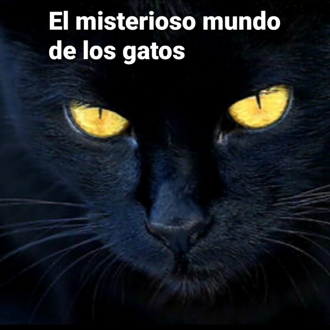 Atrapados en el silencio