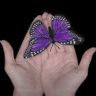Voces del Misterio LEGENDARIOS 024: La leyenda de la mariposa milagrosa de Asturias