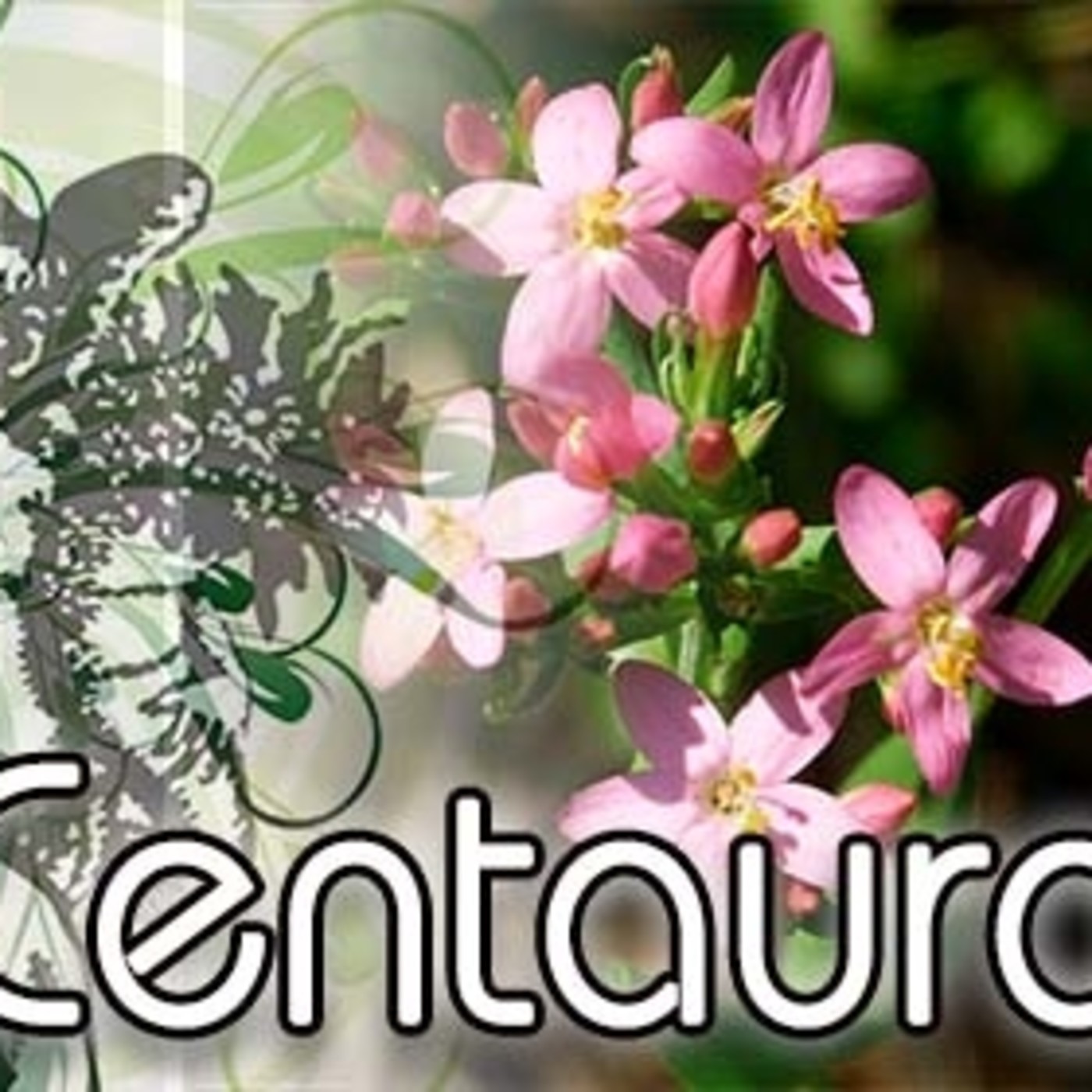 El Ángel de tu Salud - CENTAURA