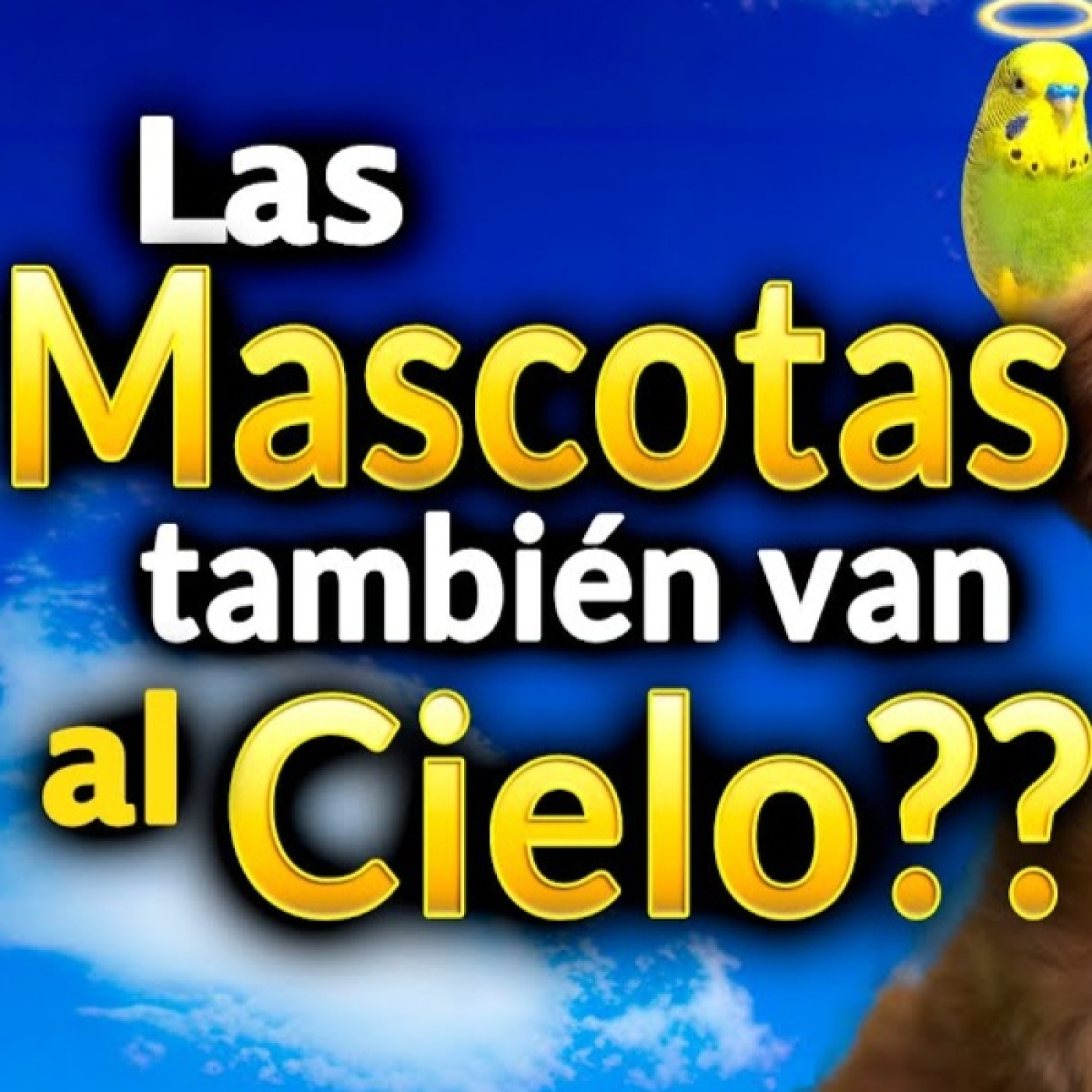 Salve María - Podcast Católico