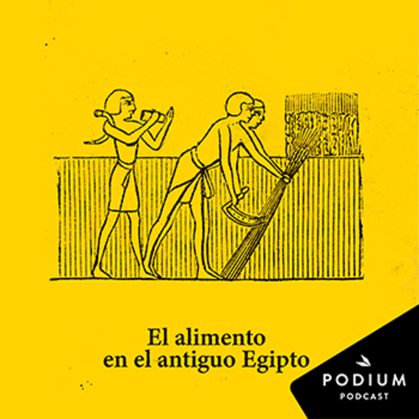 Dentro de la pirámide
