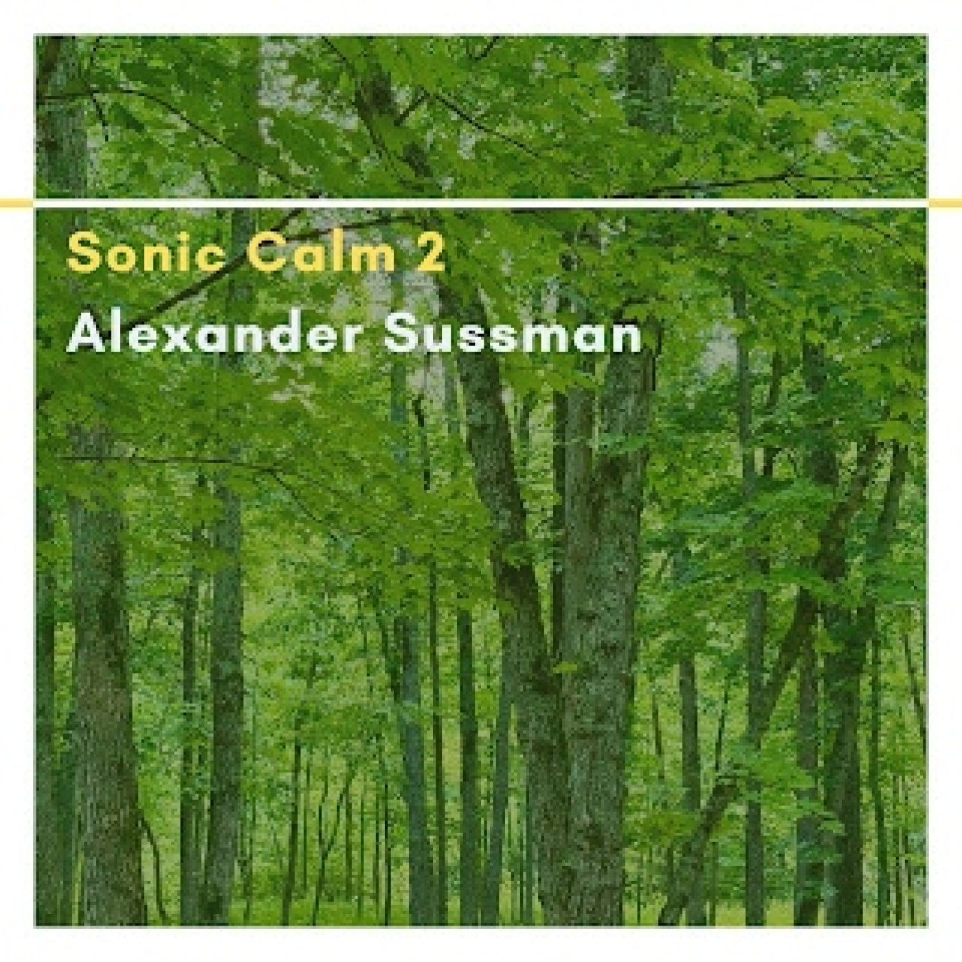 Alexander Sussman: Sonic Calm - Part Two (Calma sónica - Segunda parte)