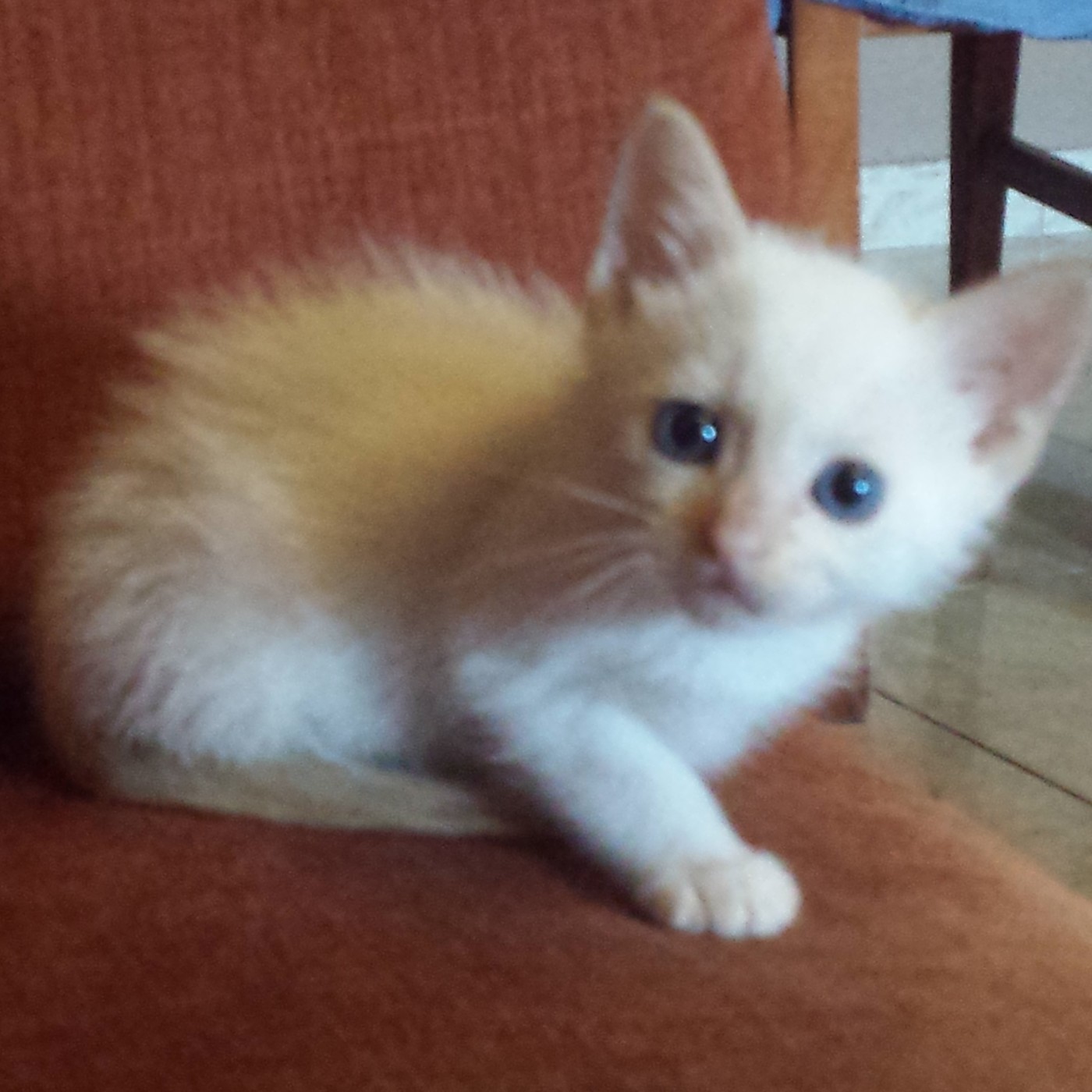 Nuestra Mente es Maravillosa