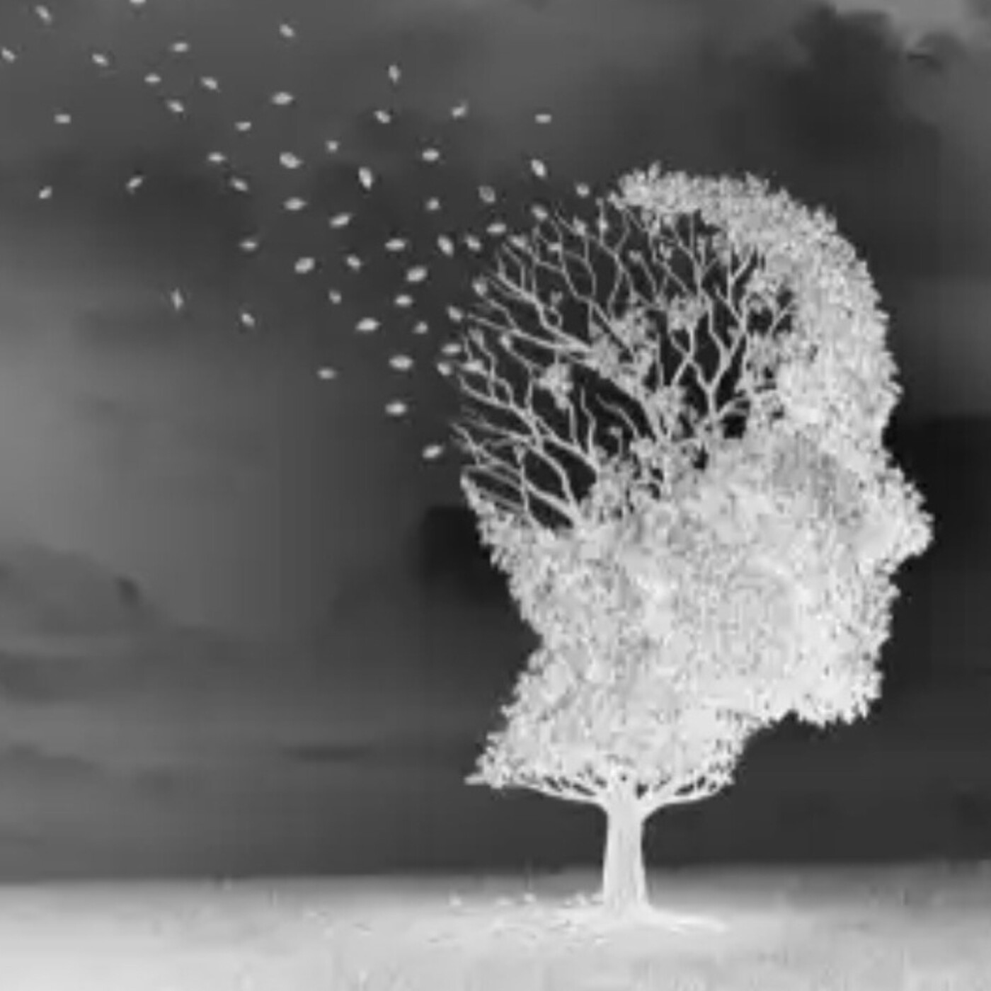 Luciérnagas CLPU – FECYT (MCIN)