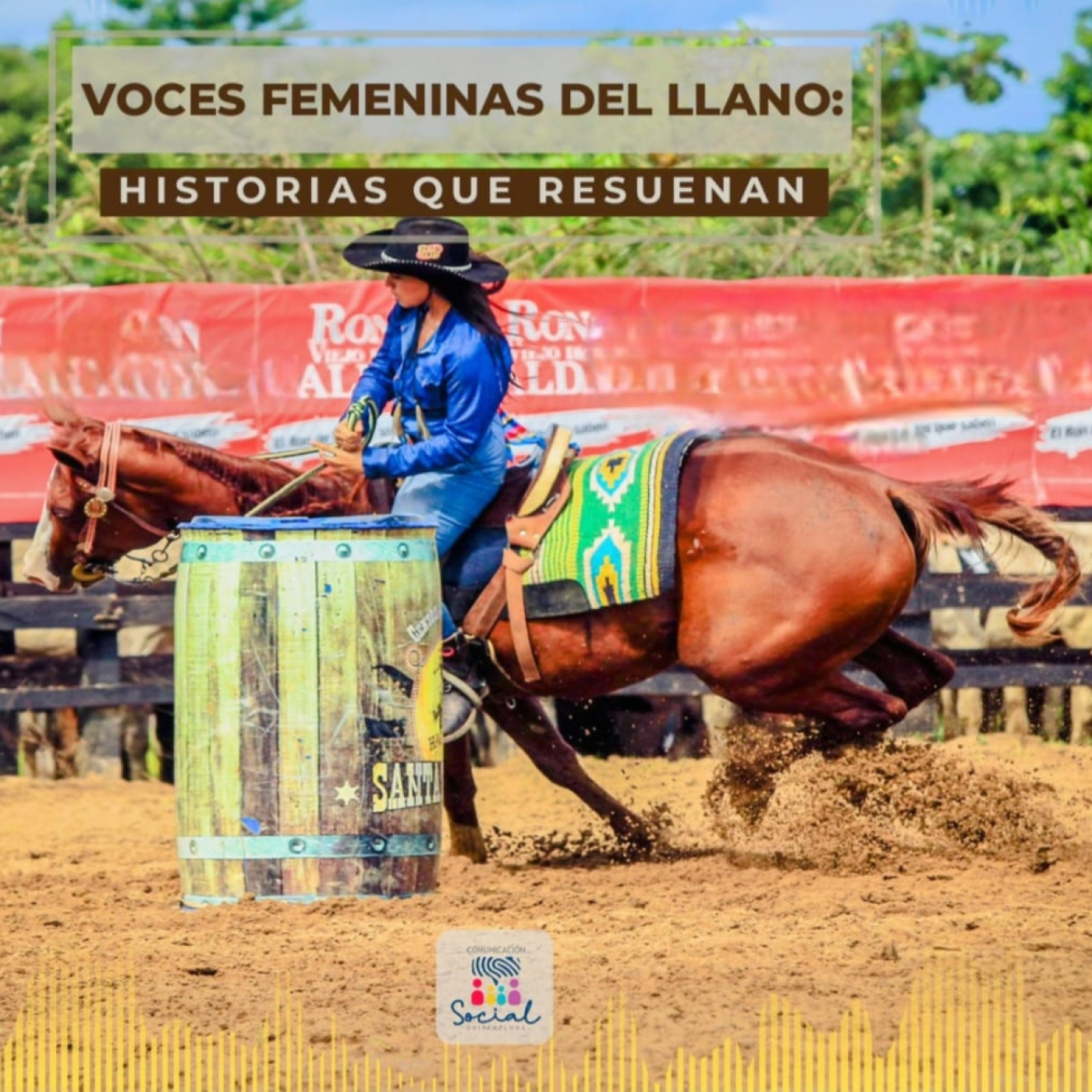 Miradas y Voces