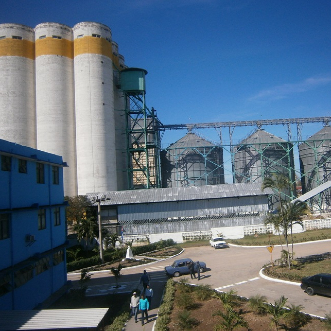 Bloqueo estadounidense limita producciones de pienso en Cuba