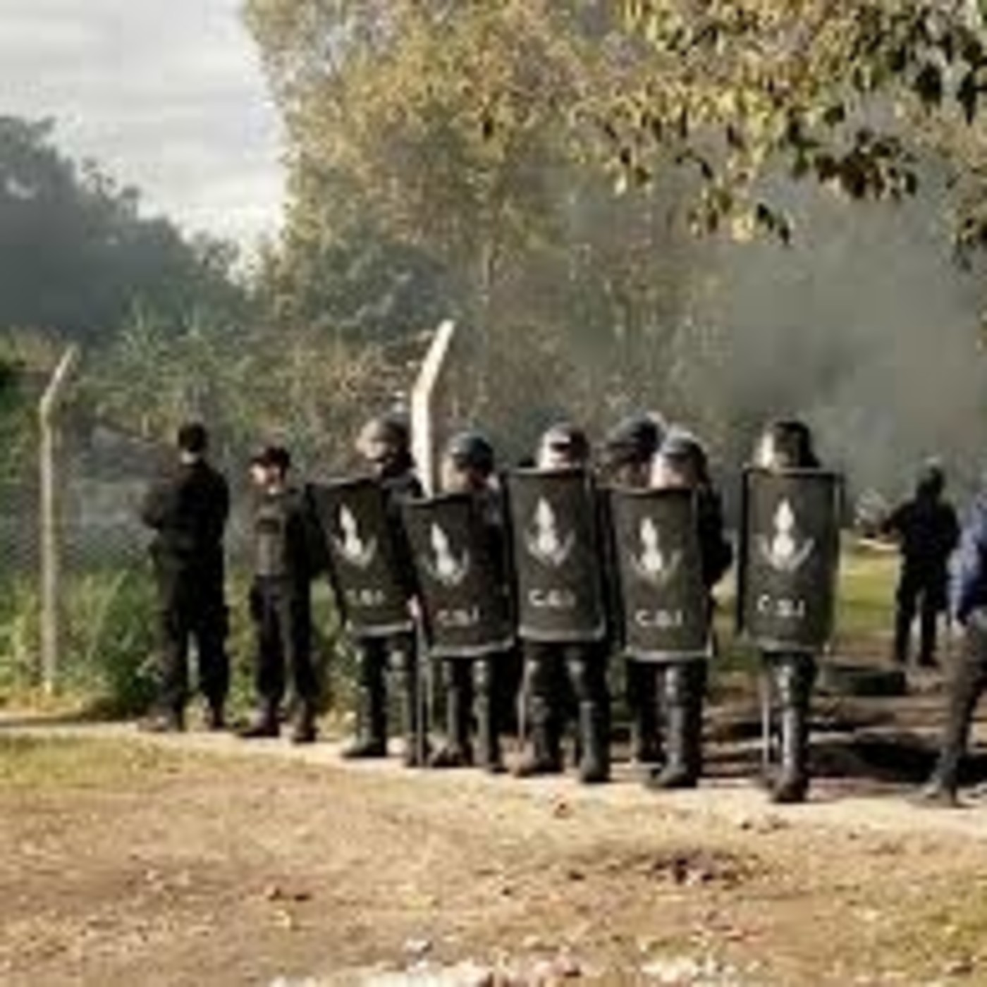 El Despertar de los Zonzos