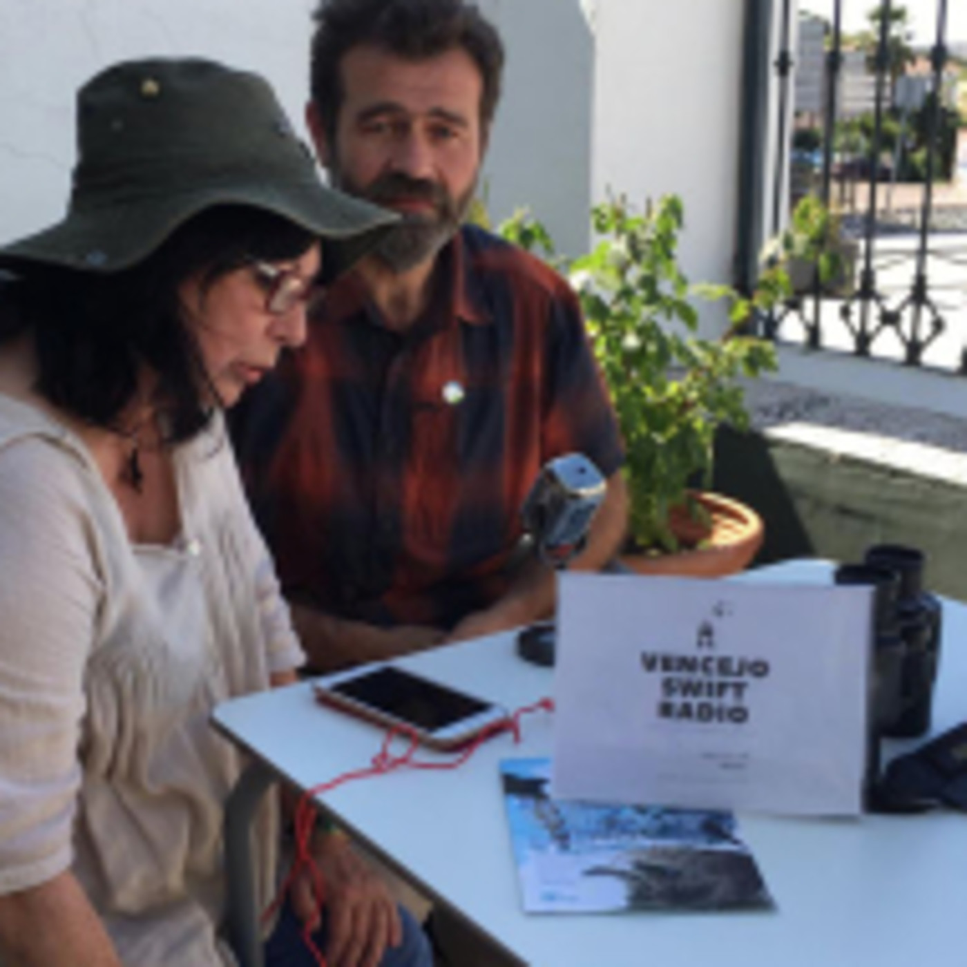 Vencejo Swift Radio