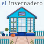 041 - El emprendimiento: ideas de negocio