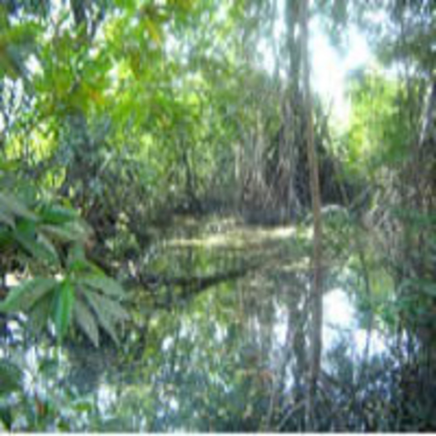 Planeta Verde Azul / Planeta Antitaurino