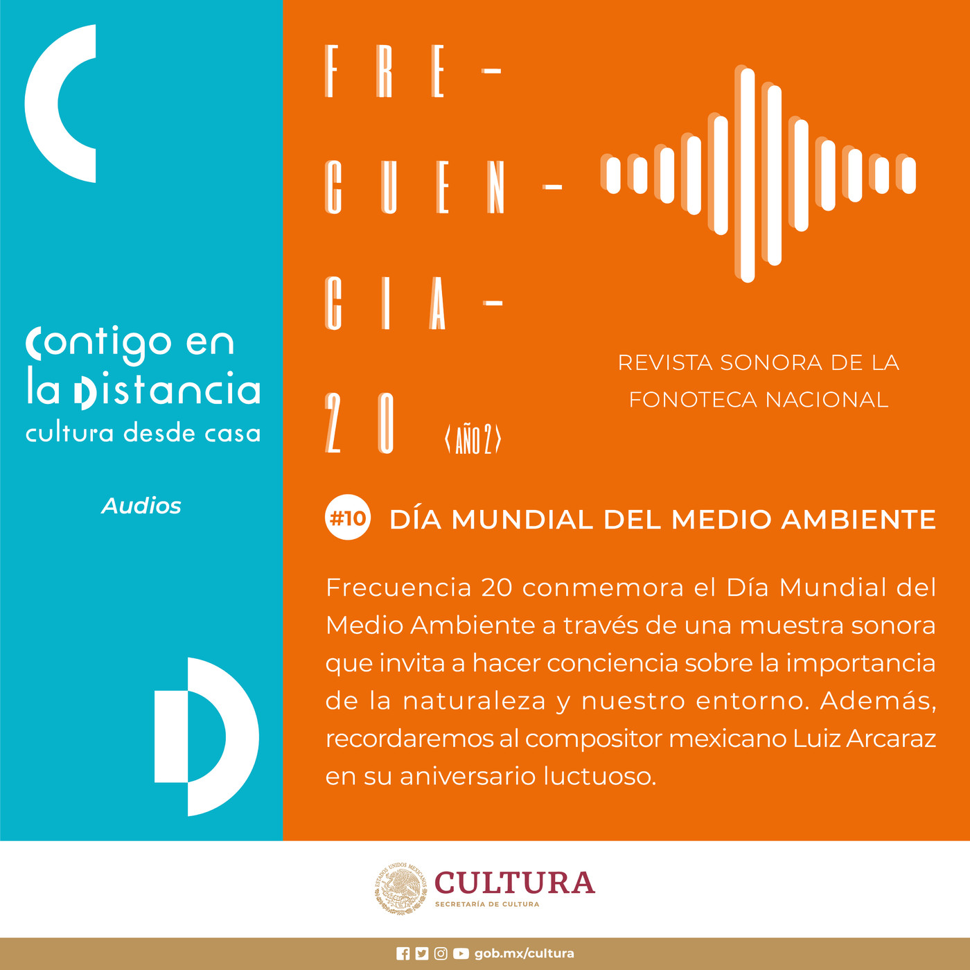 Frecuencia 20