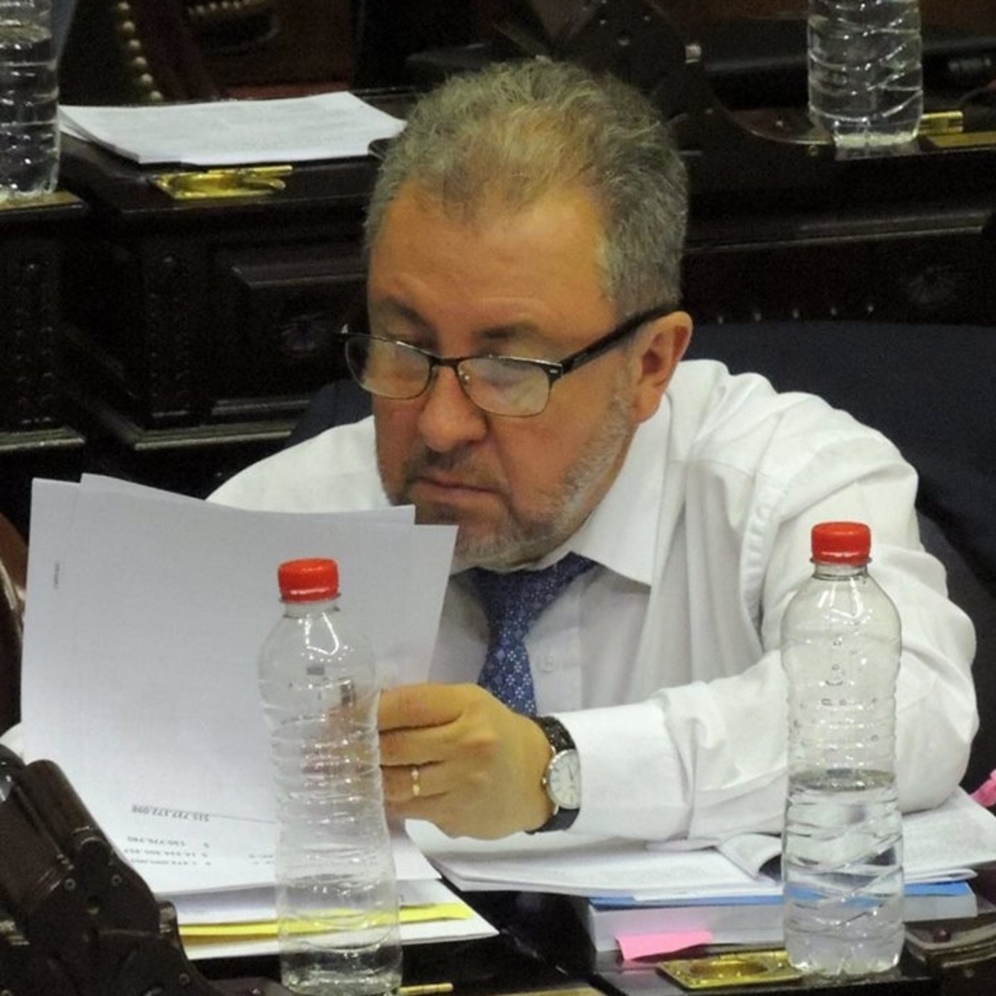 La Torre de Babel- LT 17