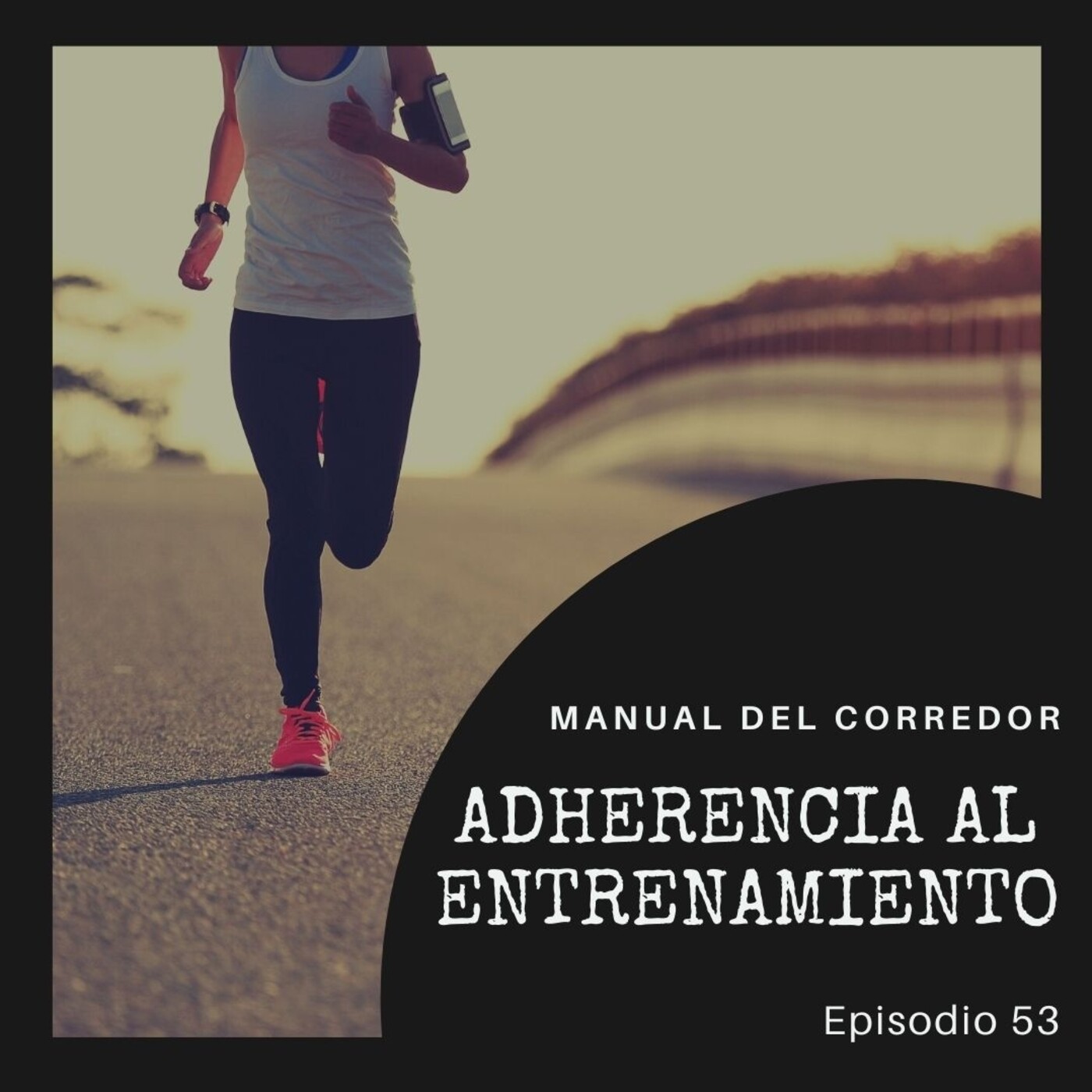 53. Adherencia al entrenamiento