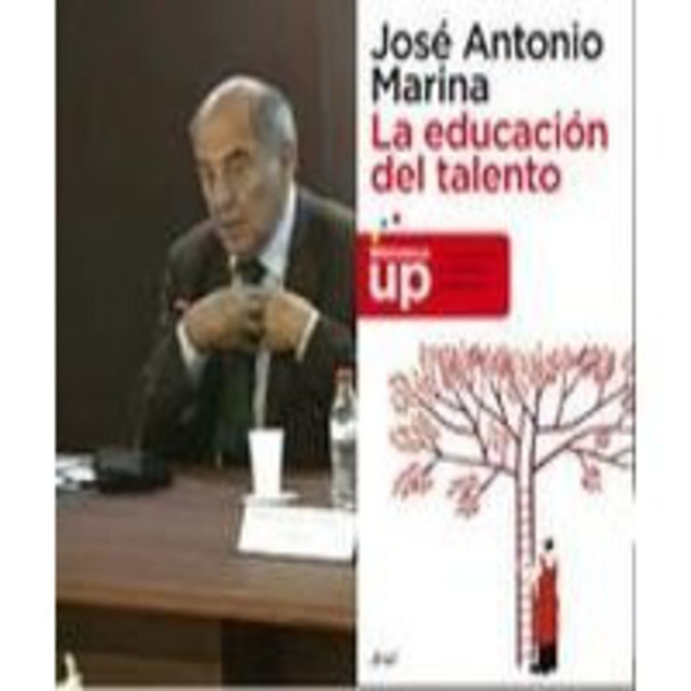 Conferencias