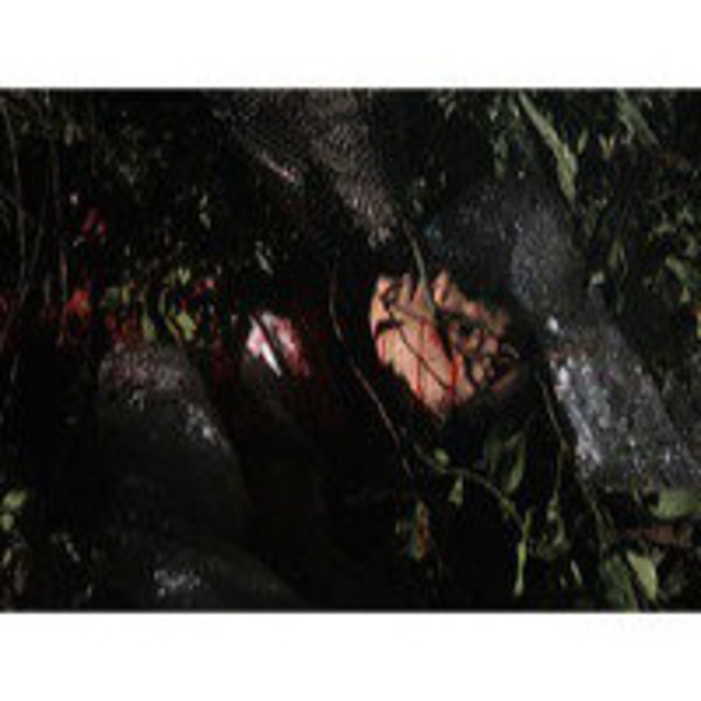 Asesinos en Serie (Series Tematicas)