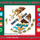 Que es Targeted Individuals Mexico?
