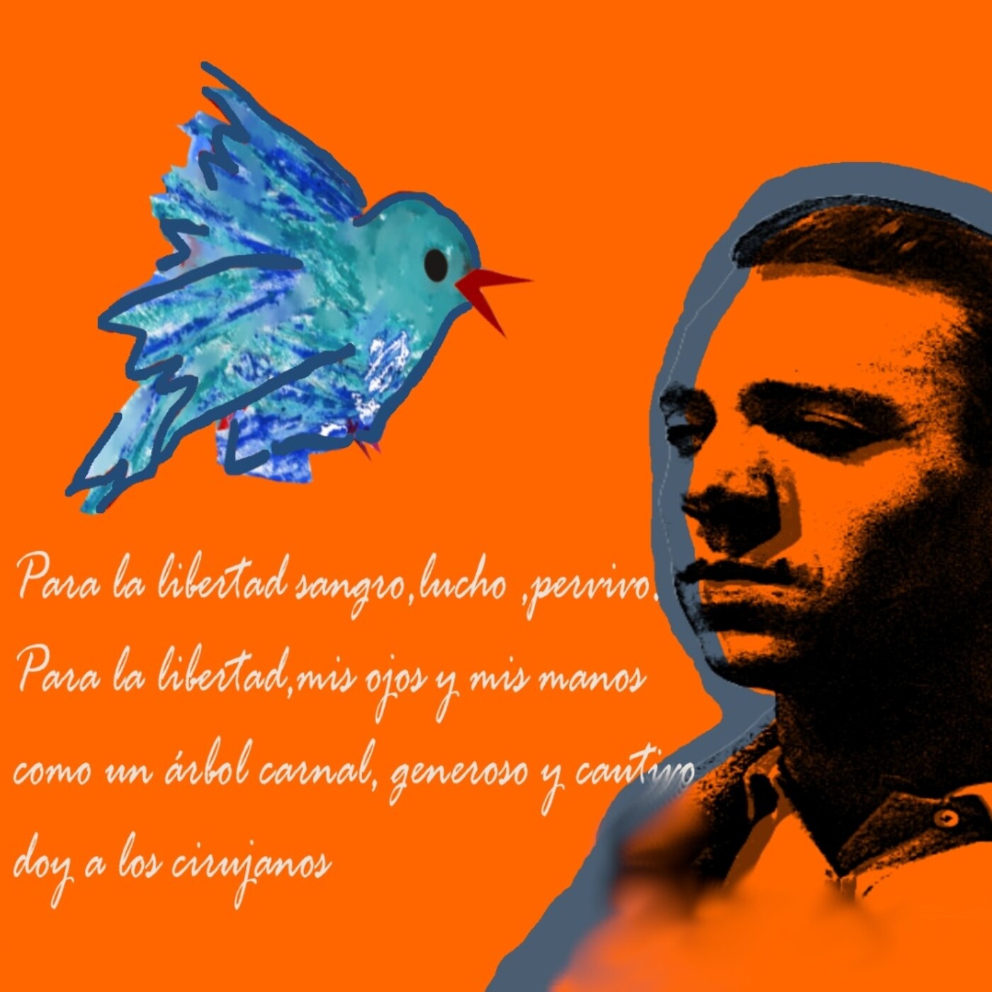 Palabras de libertad