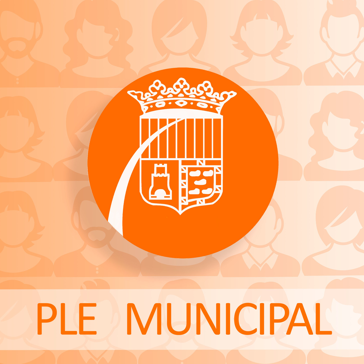 Ple Extraordinari de Pressupostos 2020. L'anàlisi episode artwork