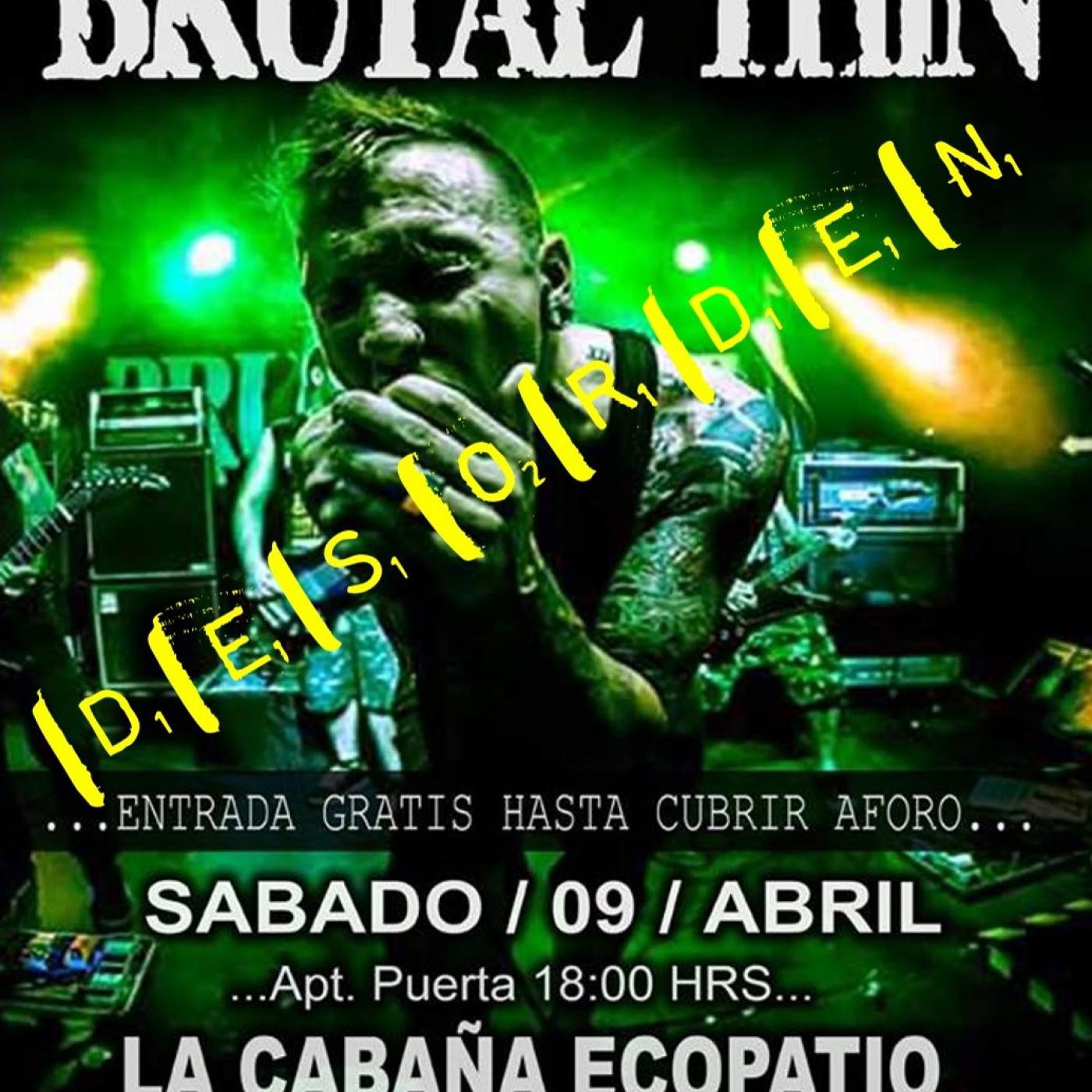 DESORDEN BRUTAL en Concierto episode artwork