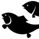 Cuento de Doña Pescadilla