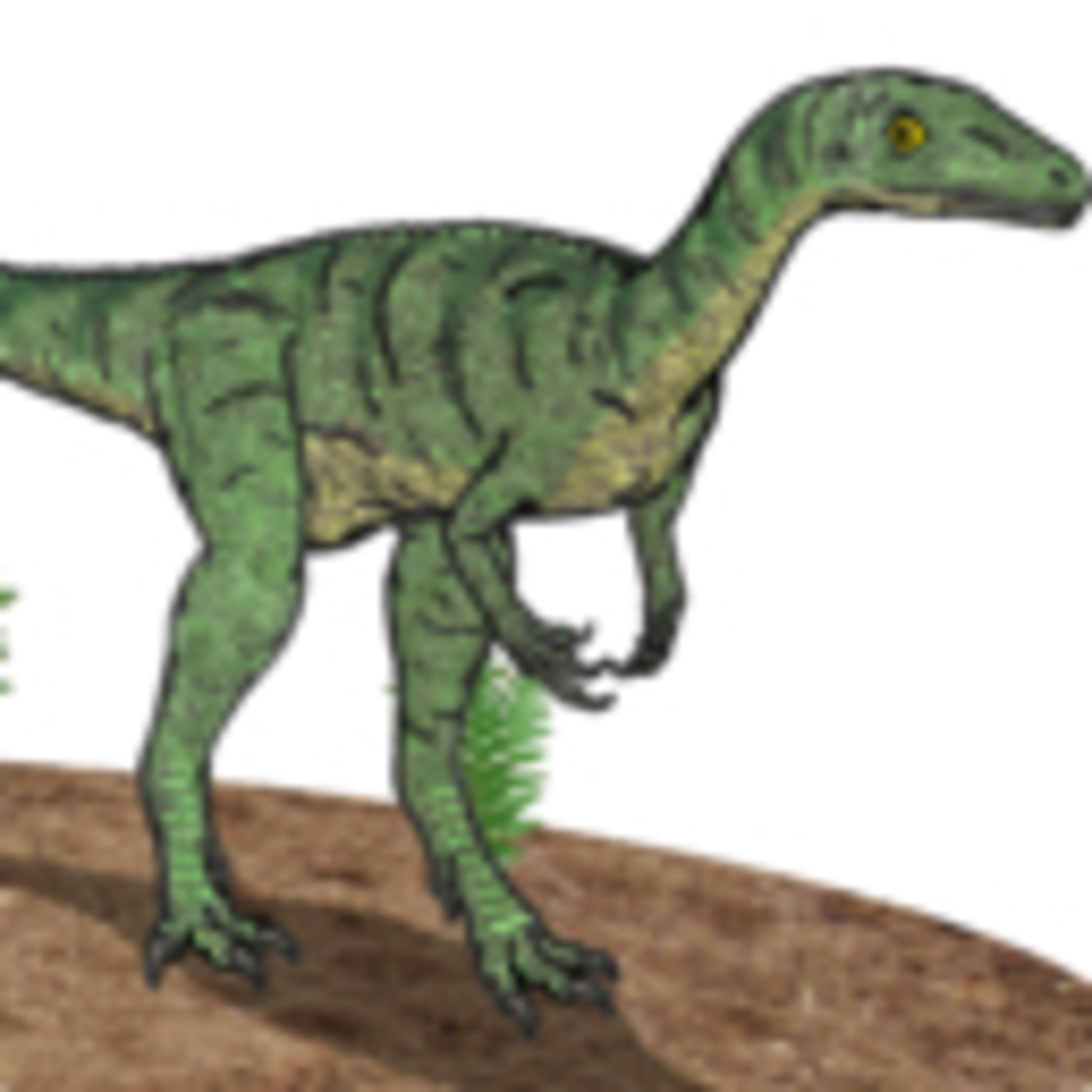 Gabitxu the Yellow Friend