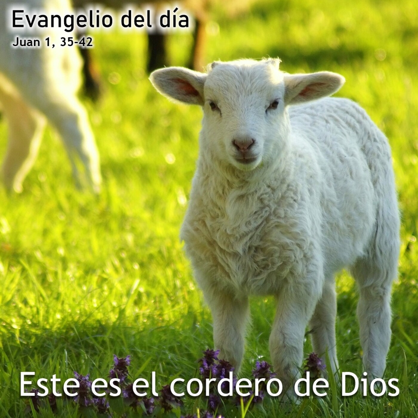 4 de enero de 2021