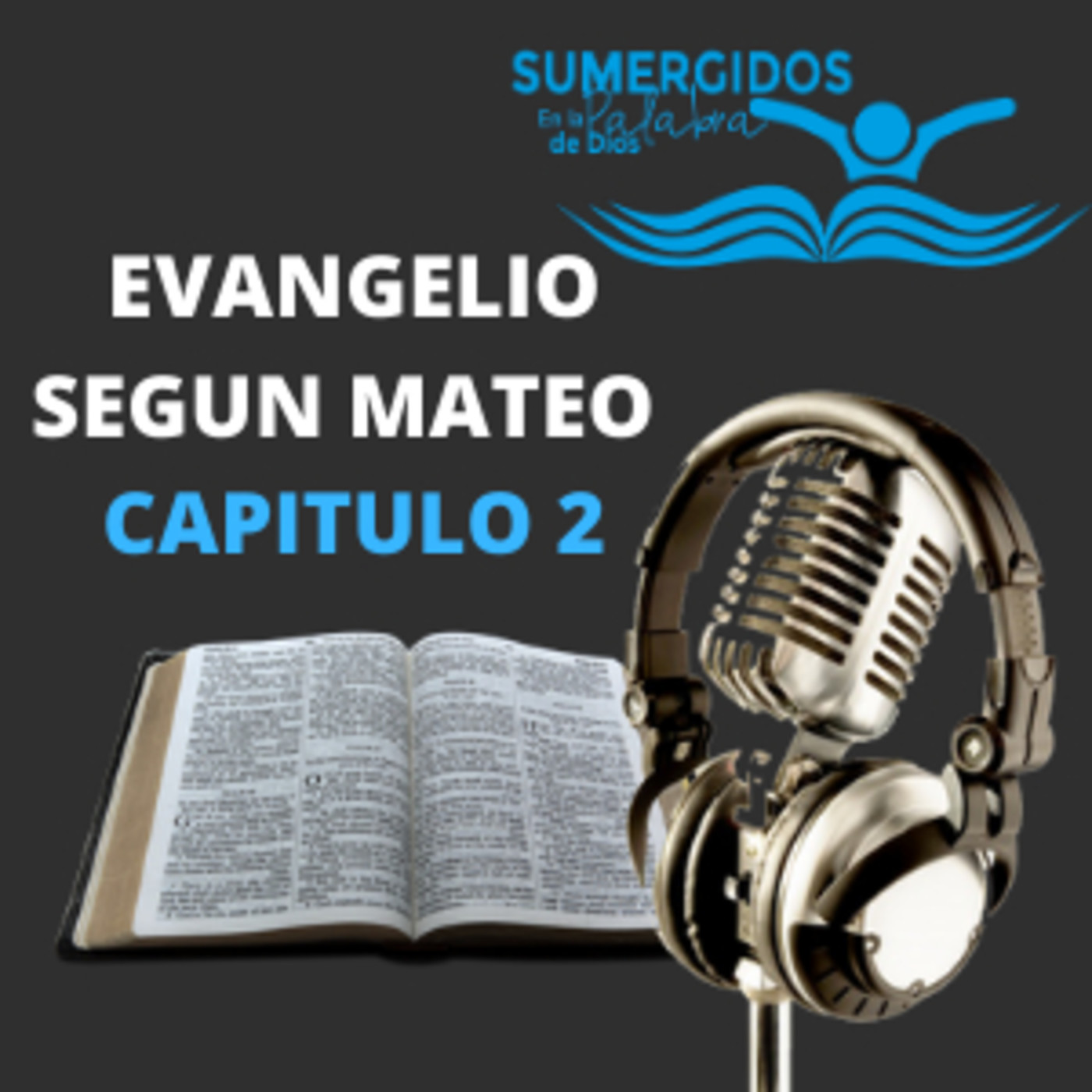 Biblia Hablada / Evangelio segun Mateo