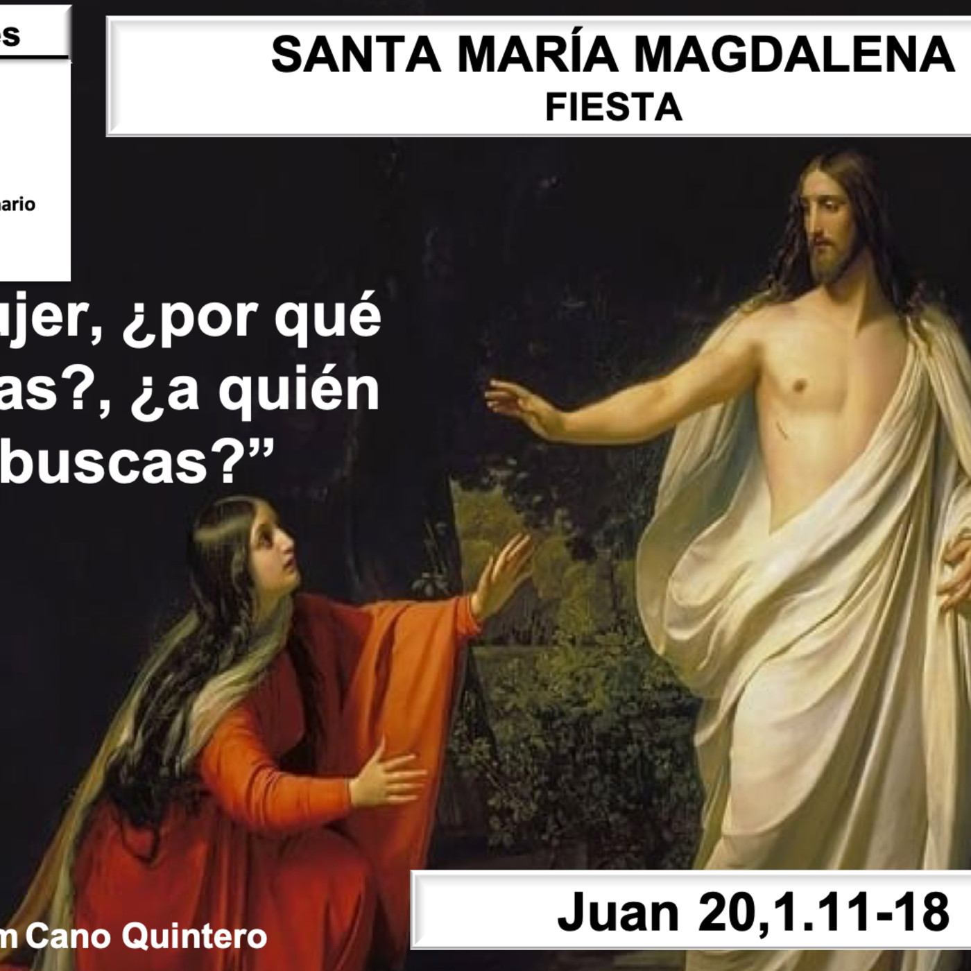 Homilías del Padre William Cano Quintero