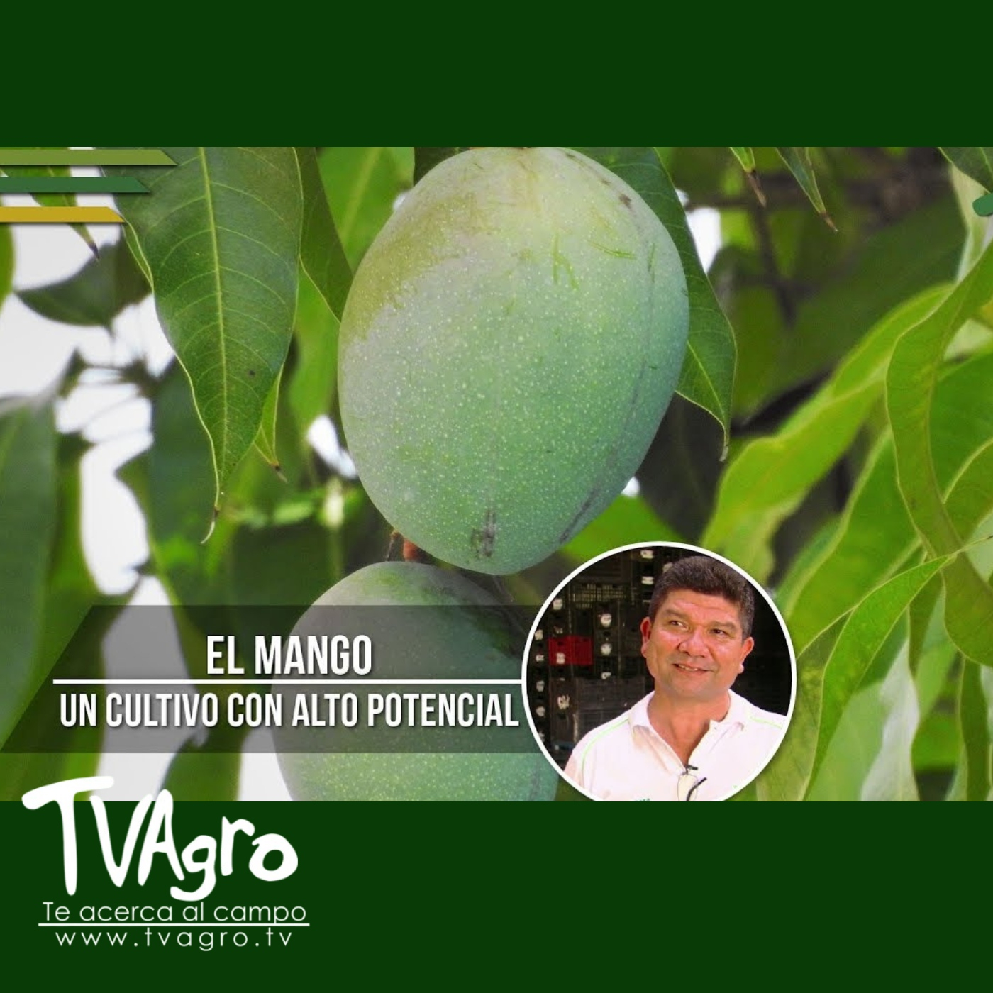 TV AGRO