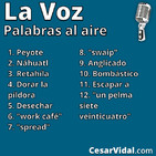 Palabras al aire - 08/07/19
