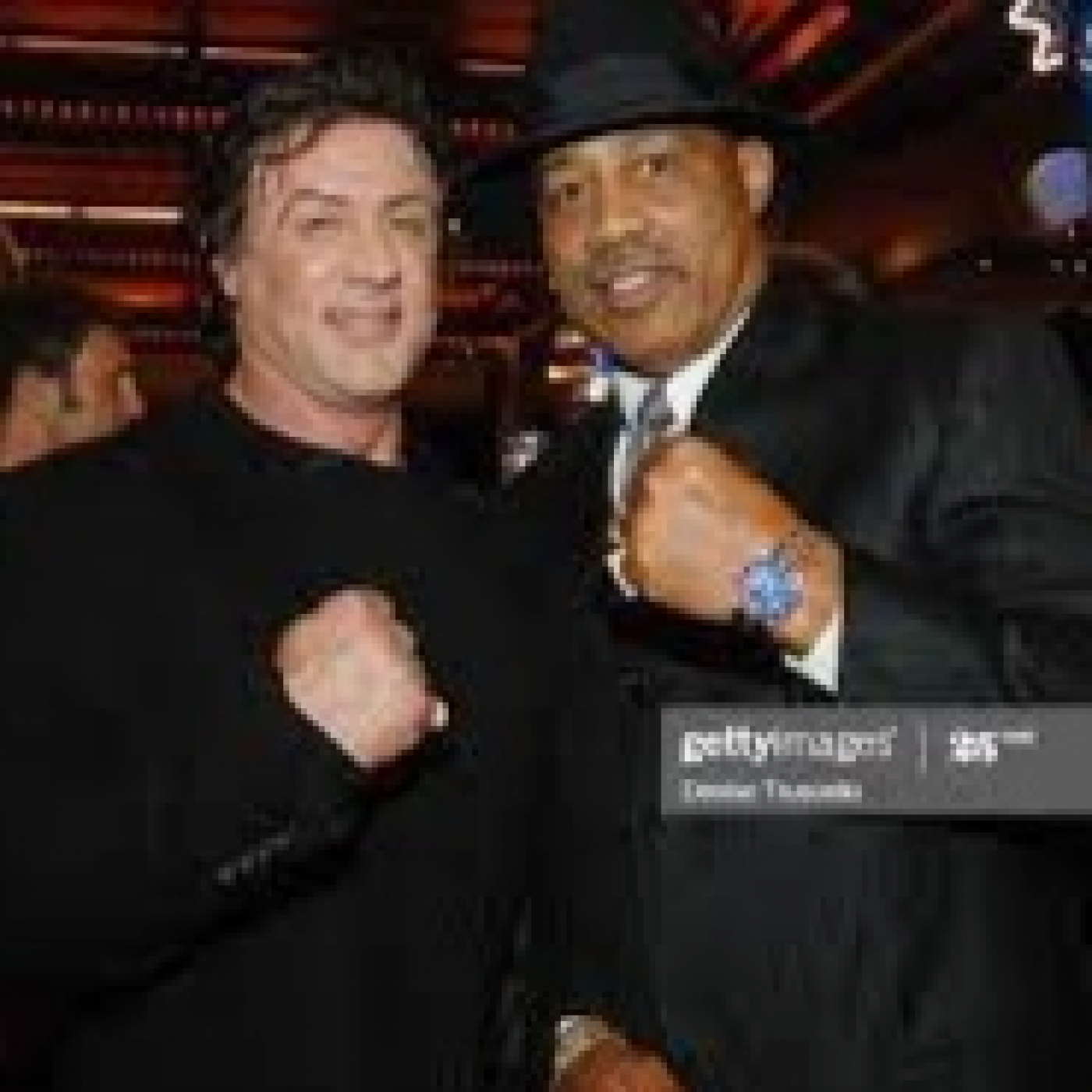 Stallone de mi vida