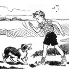 Shadow, el perro pastor - Cap 2