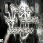 11º-!!!Tranquilo!!! solo te están observando (Voz Humana)