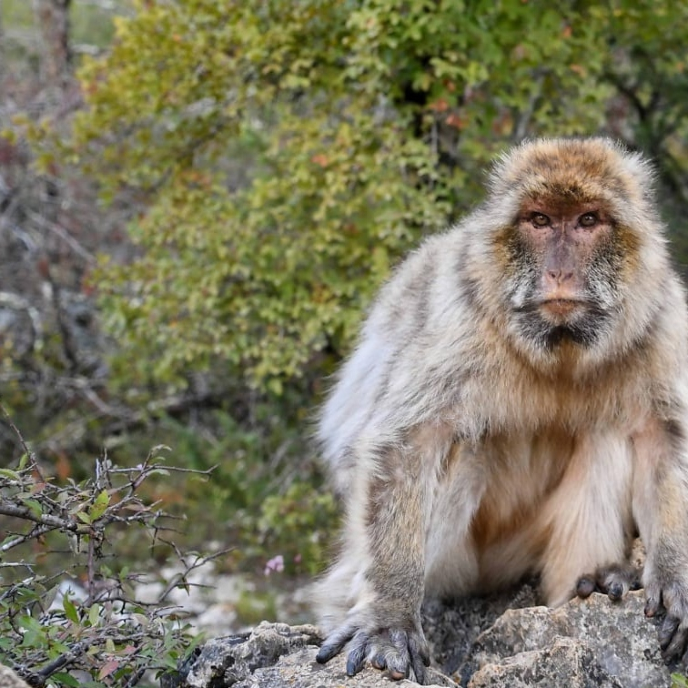 El reto de la verdad