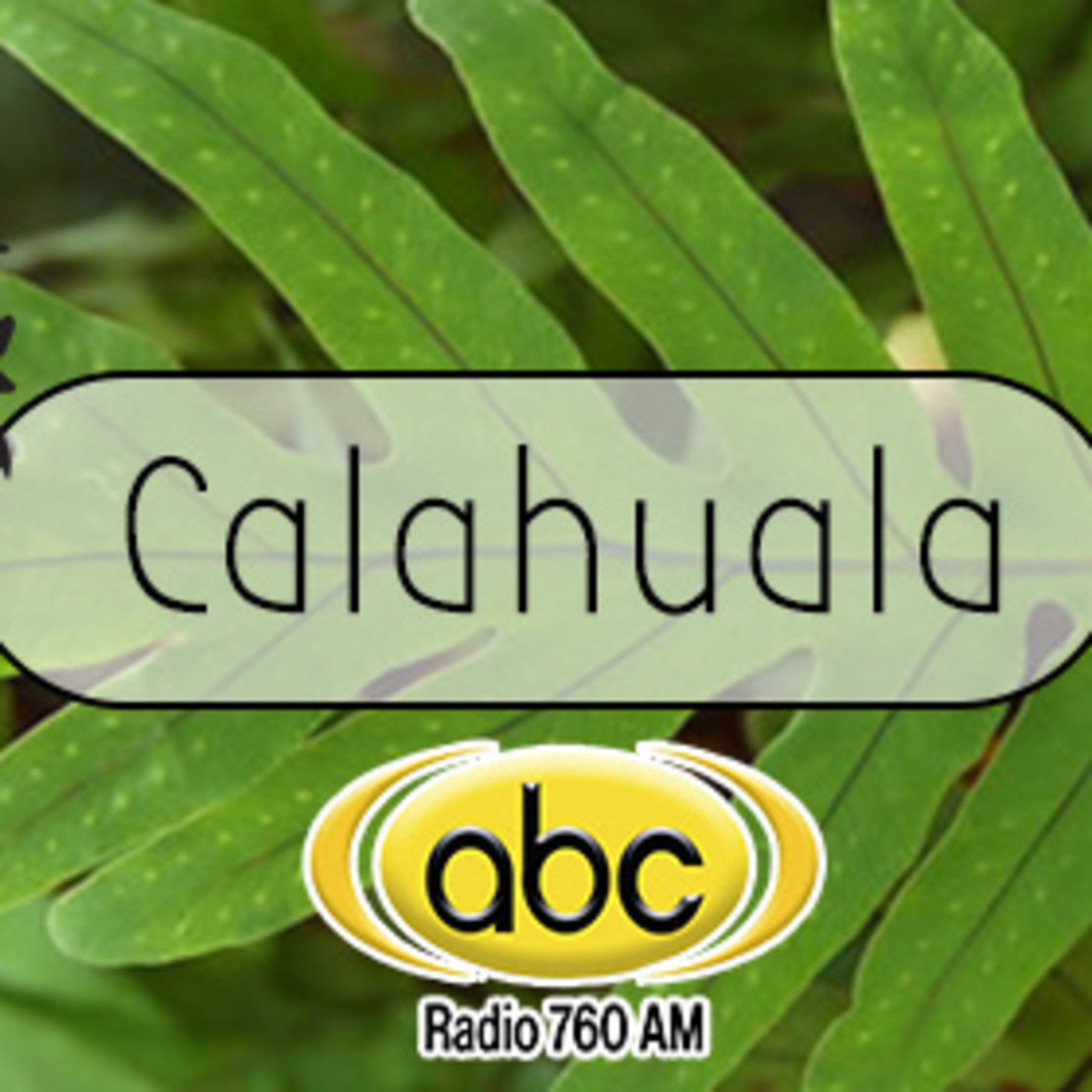 El Ángel de tu Salud - CALAHUALA II episode artwork