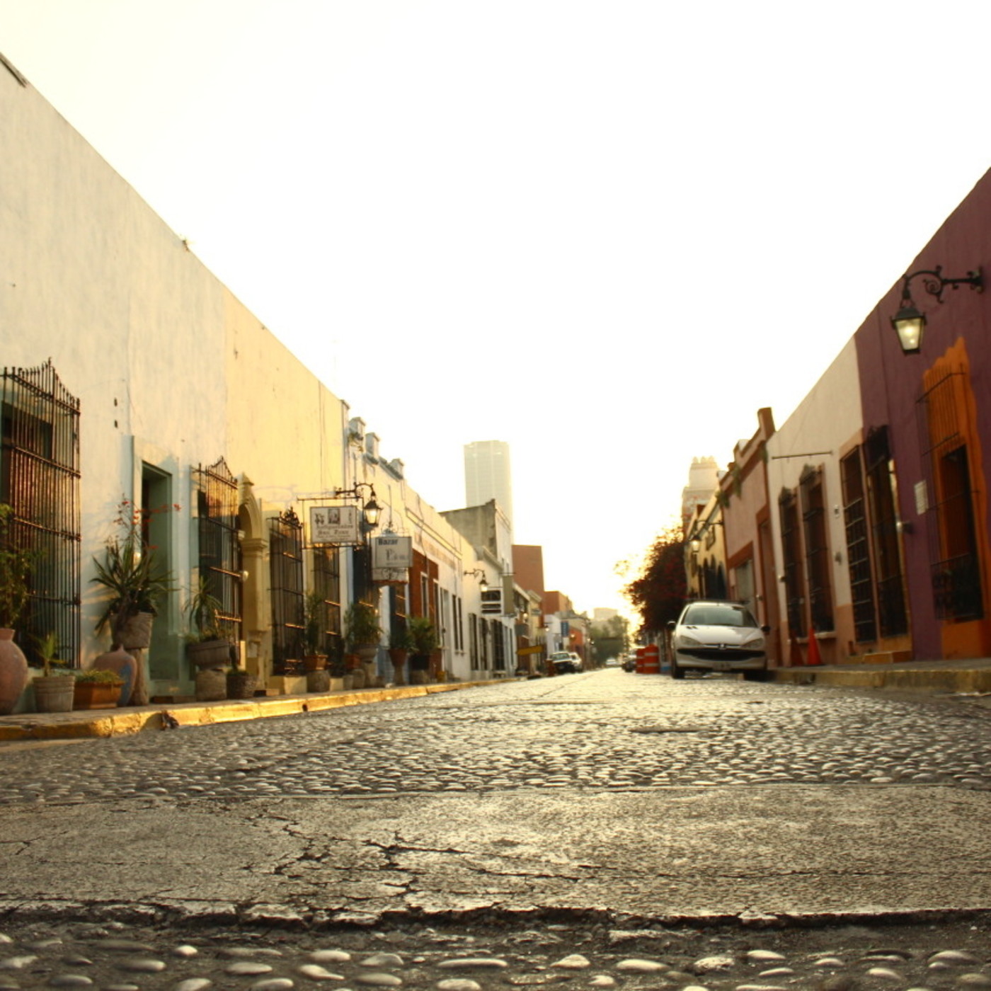 Harry Potter y La vida de los Godínez - (Piloto)