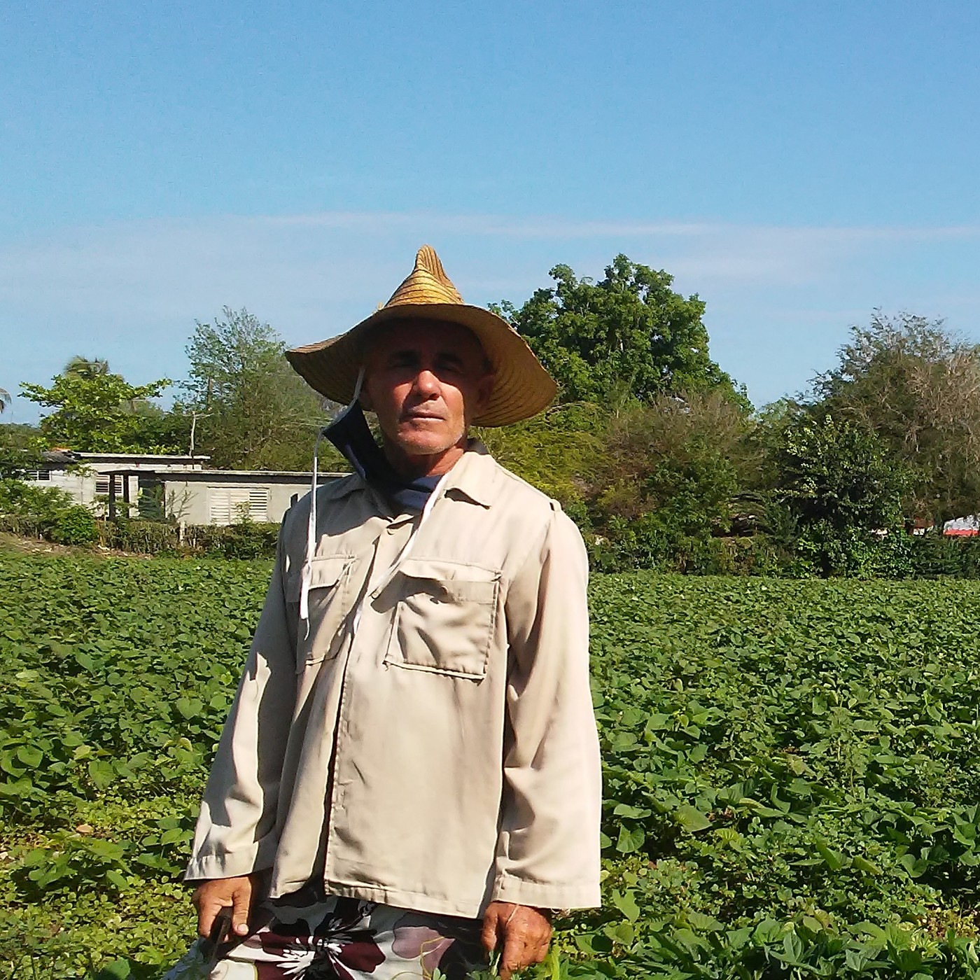 Frank Cué, campesino de pura cepa episode artwork