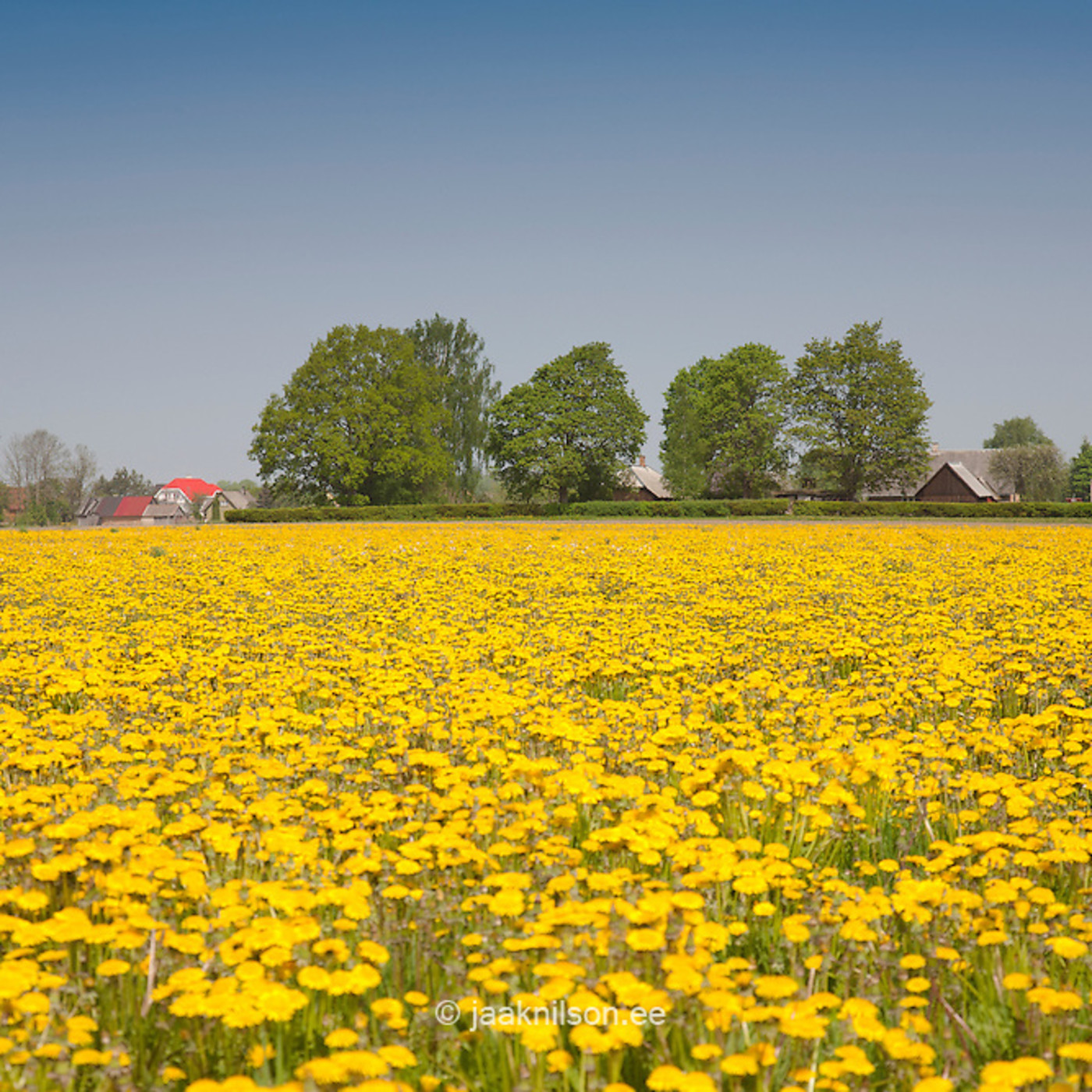 Episodio #012 - La primavera loca