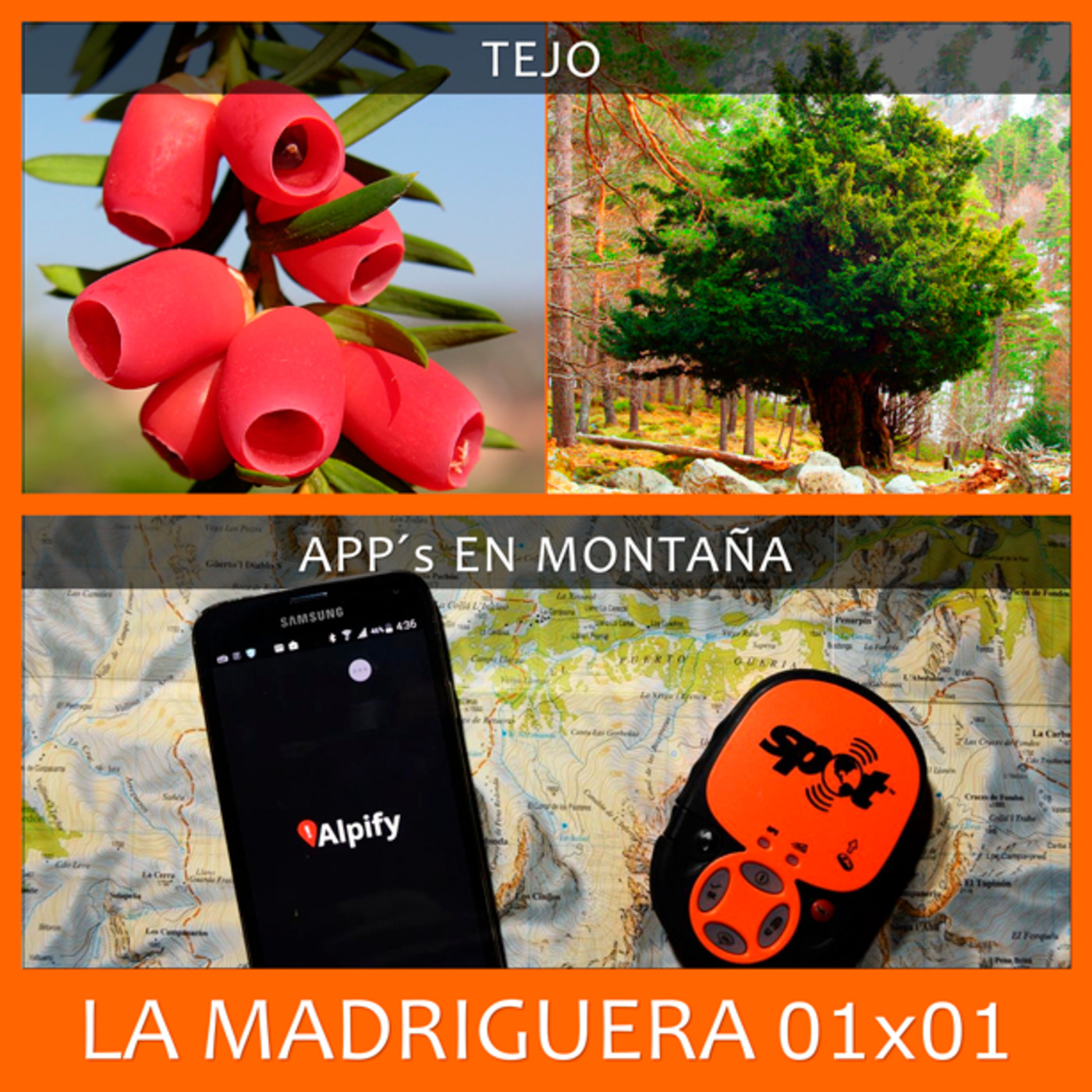 LA MADRIGUERA