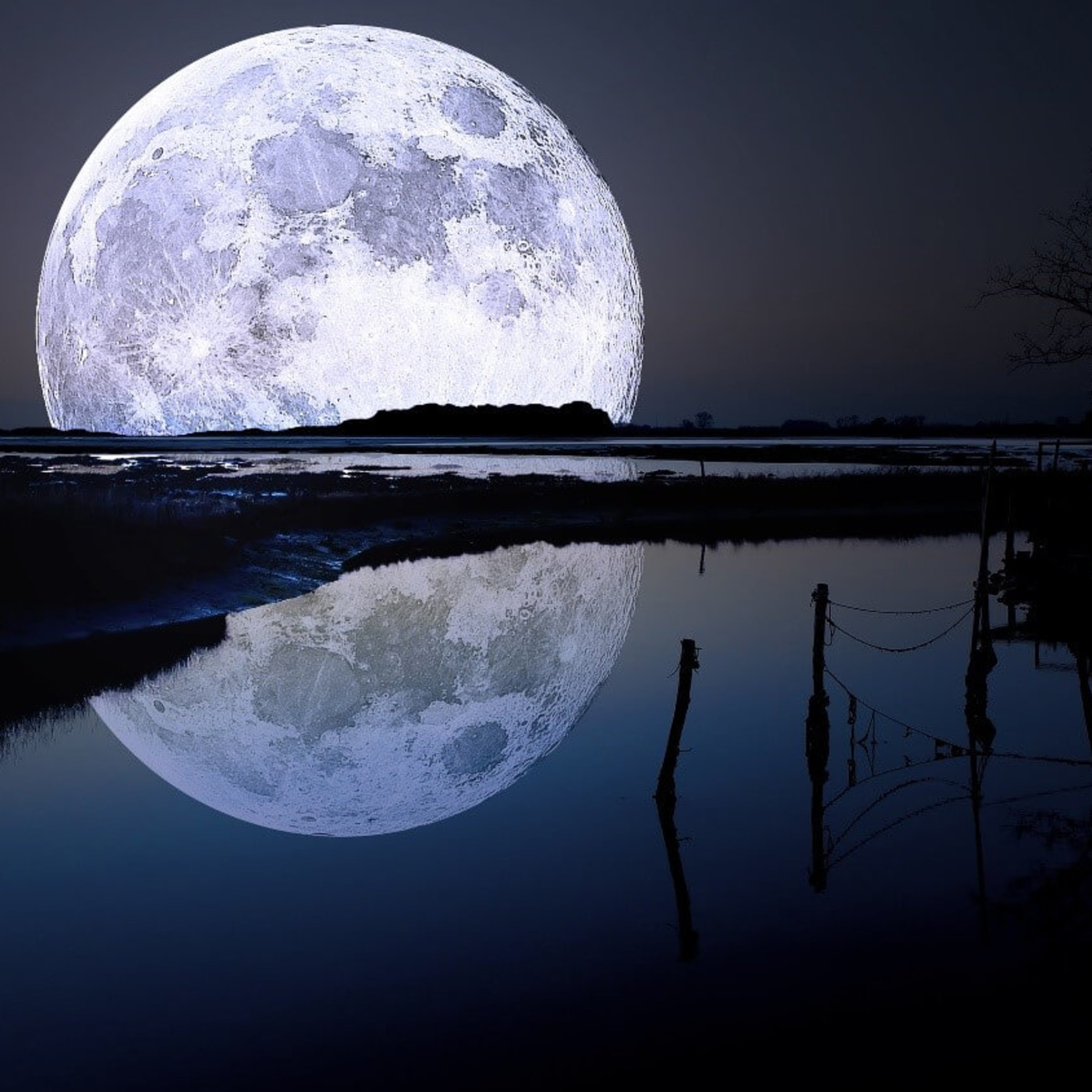 Nuestra luna #documental #ciencia #podcast #astronomia #universo episode artwork
