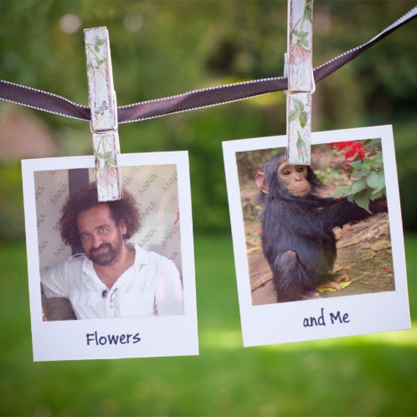 FLORES EN EL CONGO