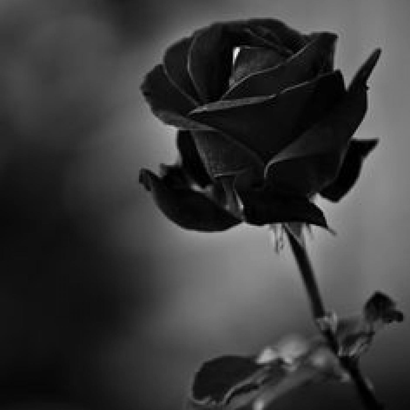 Podcast de manupoeta