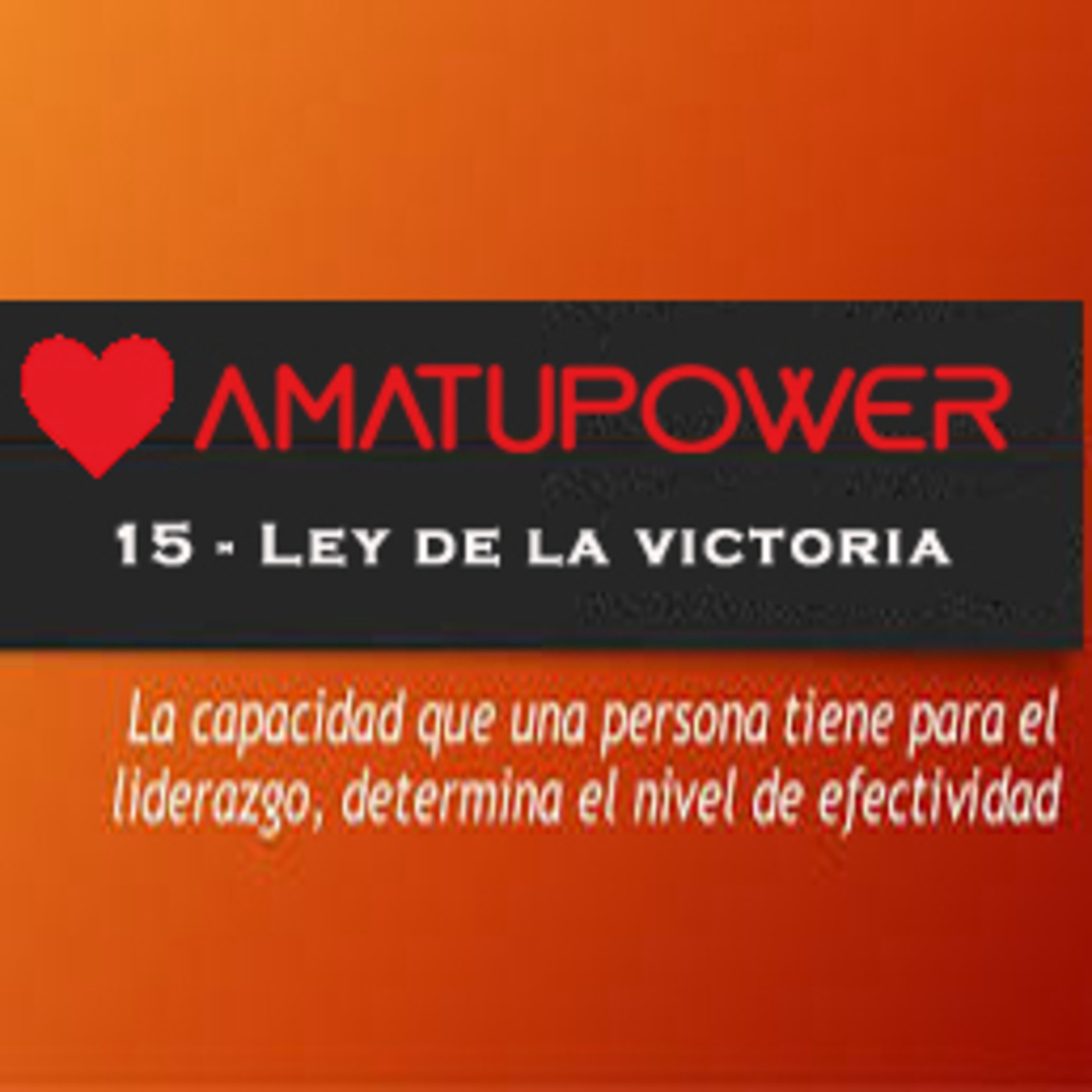 Las 21 leyes Irrefutables del liderazgo de John C.