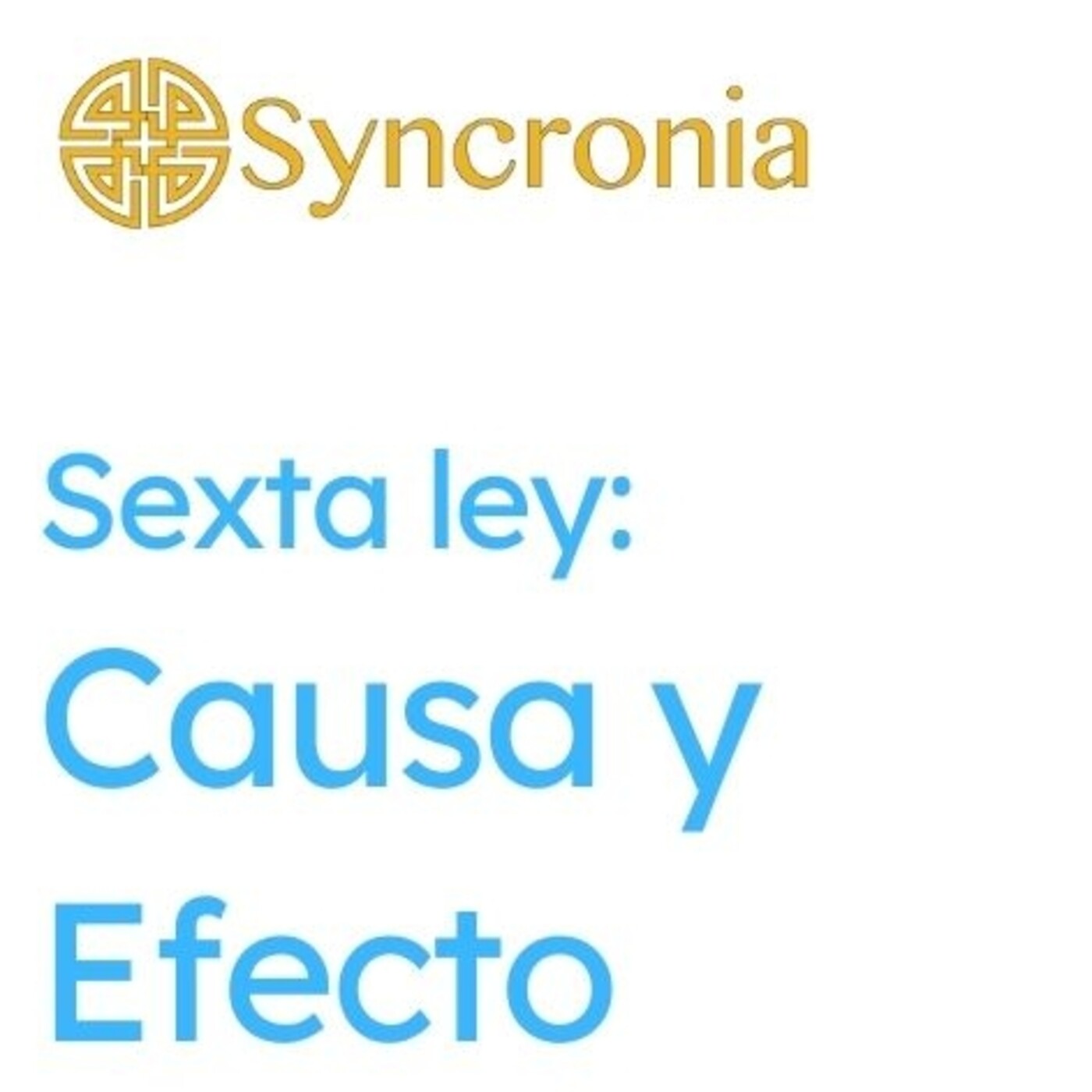 Charlas Syncronia