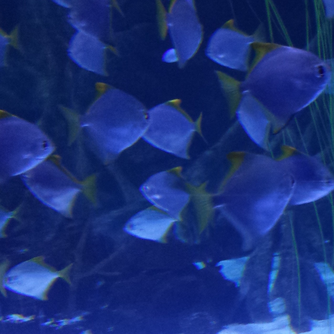 Nuestra Mente es Maravillosa