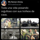 embed image