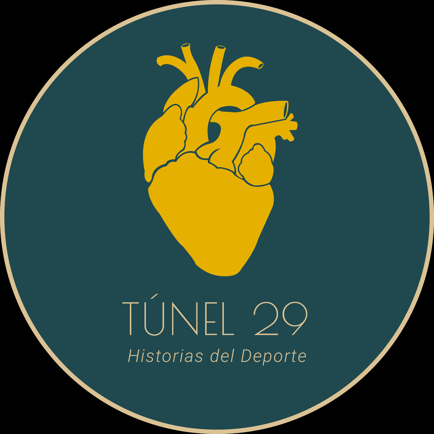 Túnel 29